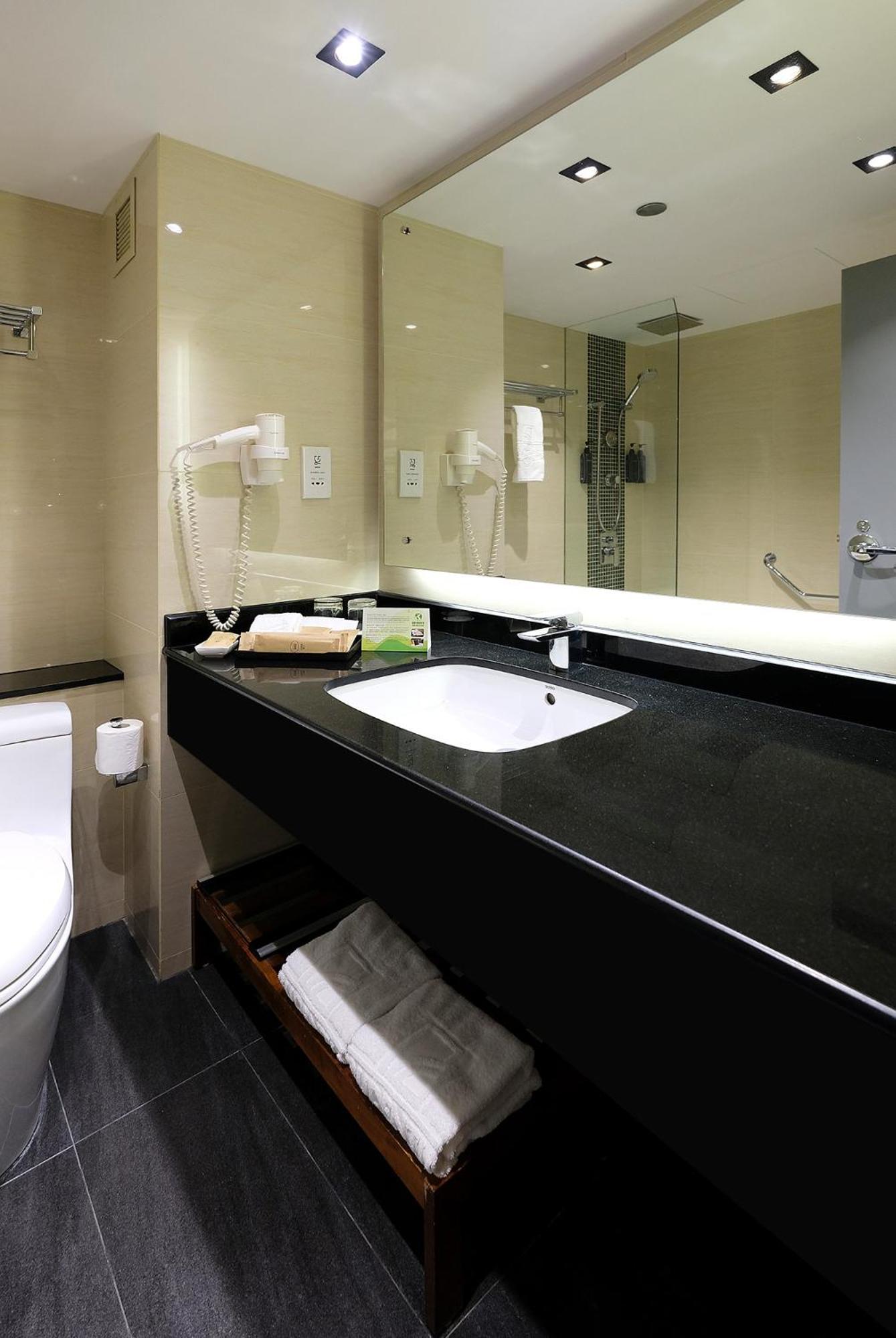 Deluxe King Room with City View (Nonsmoking)
